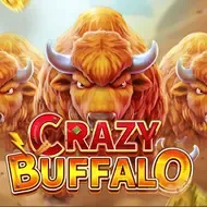 CRAZY BUFFALOFachai thumbnail