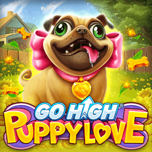 Go High Puppy Love 96
